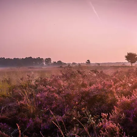 4-persoons Familielodge Lägenhet Voorthuizen