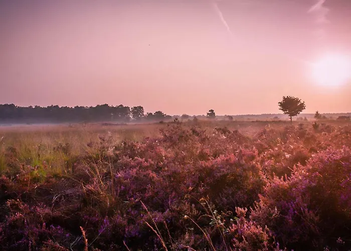 4-persoons Familielodge Apartamento Voorthuizen